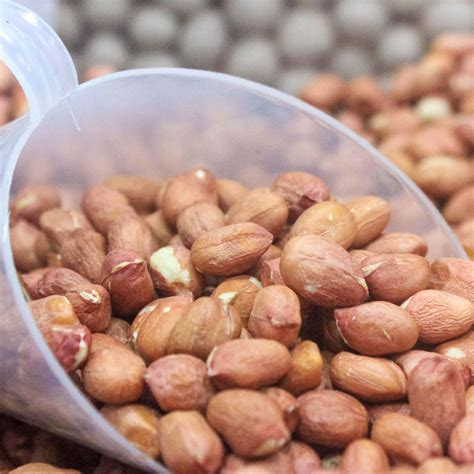 Pode Comer Amendoim Cru - Amendoim Cru a Granel - Empório Santa Rita