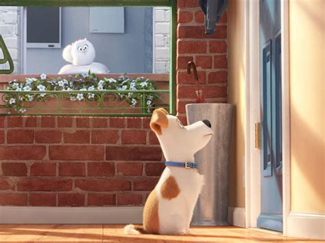 The Secret Life of Pets Wiki | Fandom