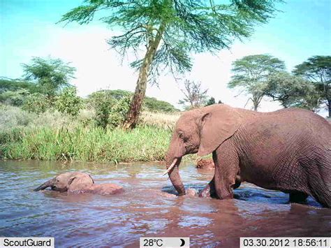 Behind the Citizen Spy: Instant Wild – NatureSpy