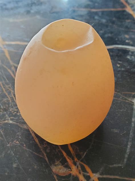 squishy egg rmildlyinteresting