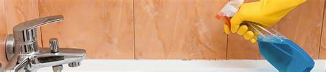 Here’s How to Get Rid of Mould in Your Home | Home Hardware