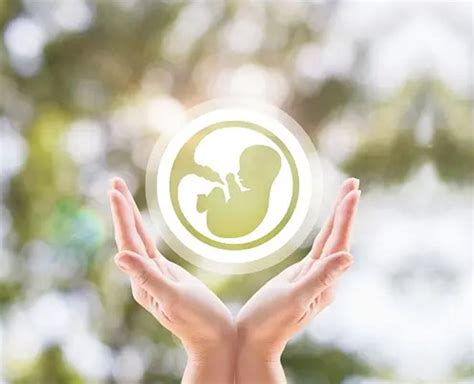 amh level    fertility  ways  improve