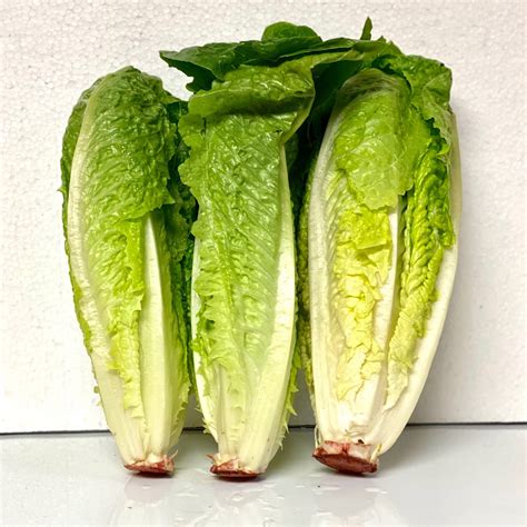 myteshoppe - Blog