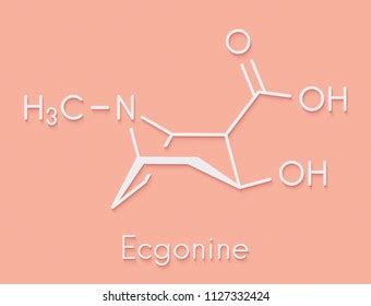 ecgonine coca alkaloid molecule metabolite cocaine stock illustration