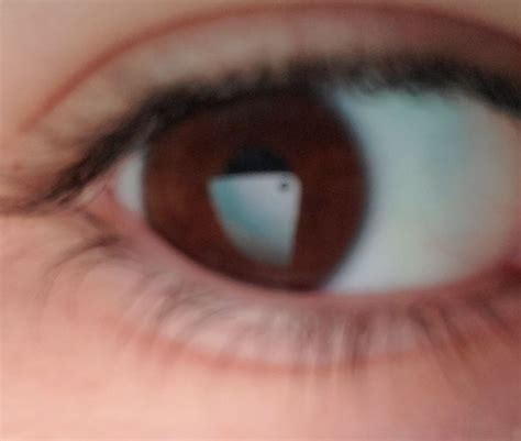 face reveal eye reveal wattpad