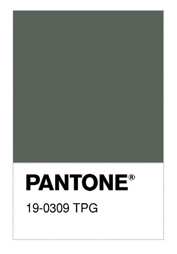 colore pantone   tpg thyme numerosamenteit