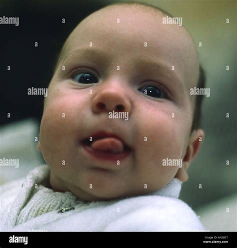 baby  white stock photo alamy
