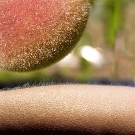 Why we are Peach Clinics - My WordPress