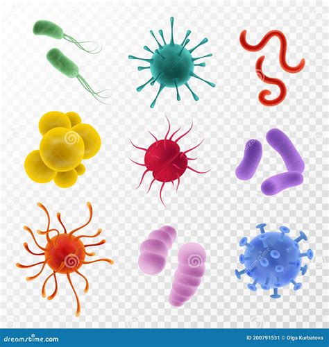 Realistic Viruses. Types and Microorganism Colorful Shapes. Bacteria