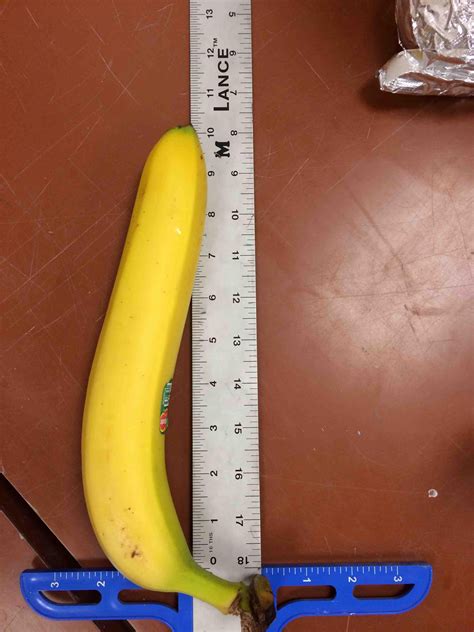 Biggest banana I have ever seen! : r/mildlyinteresting
