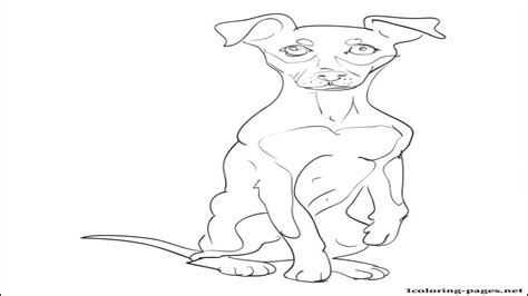 Miniature Pinscher Coloring Pages at GetColorings.com | Free printable ...