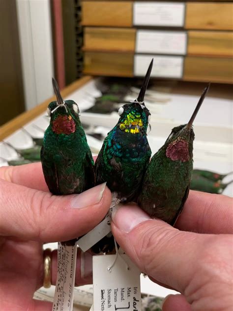 Why the Tilikum legacy includes a secret that shocks experts 8