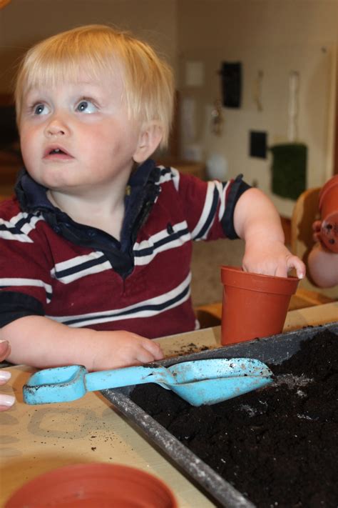 ladybirds inside house 6