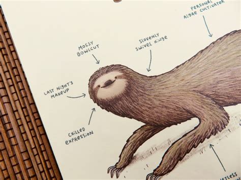 anatomy   sloth card etsy