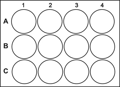 96 Well Plate Template Fillable