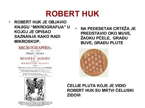 Ćelija