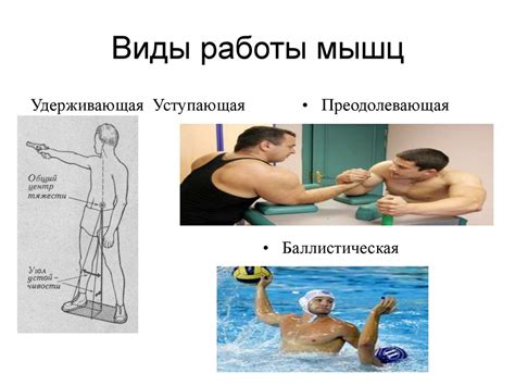Динамическая анатомия - презентация онлайн