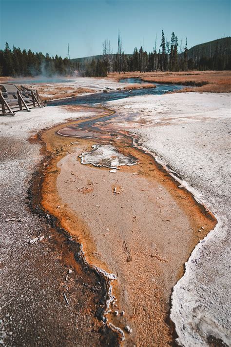 Glacier national park yellowstone and grand tetons – Artofit