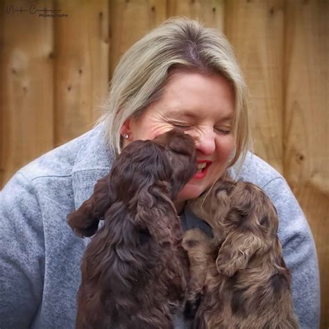 Selling puppies to happy forever homes with confidence