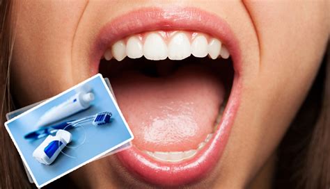 essential items    maintain good oral health lifeberryscom