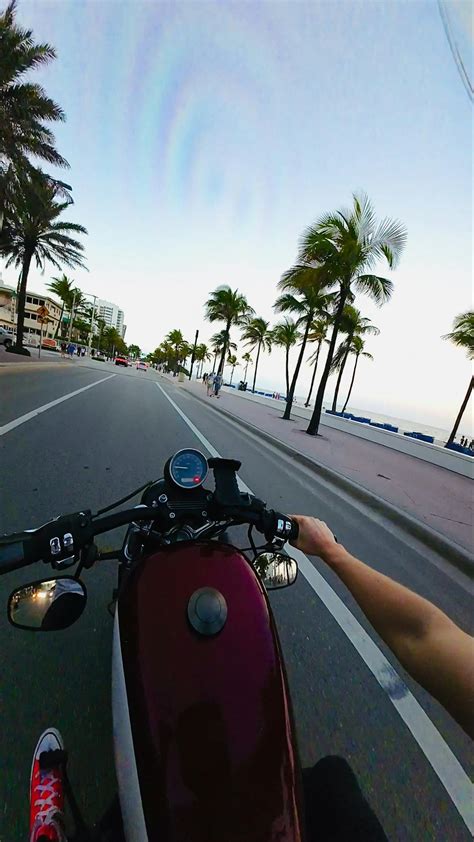 Harley+Quinn+Twerk Videos, Download The BEST Free 4k Stock Video