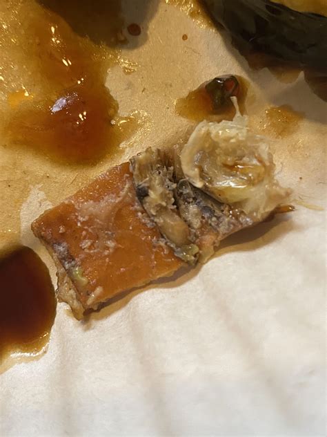 Bad Shrimp? : r/sushi