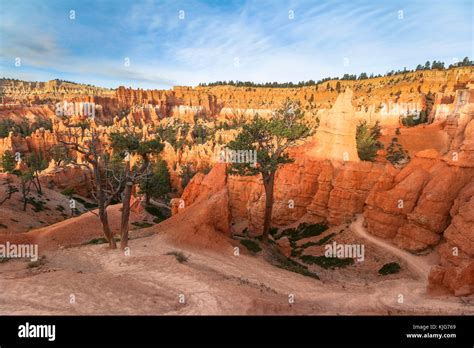 Red hoodoos on Fairyland Trail in Bryce Canyon Stock Photo - Alamy