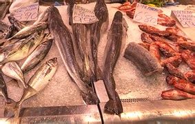 Gratis foto: Kummel, Fisk, Mun, Hot - Gratis bild på Pixabay - 1115447
