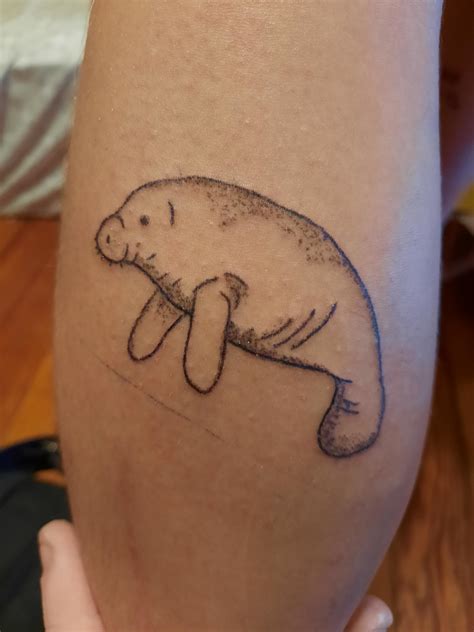 how to draw manatees 4