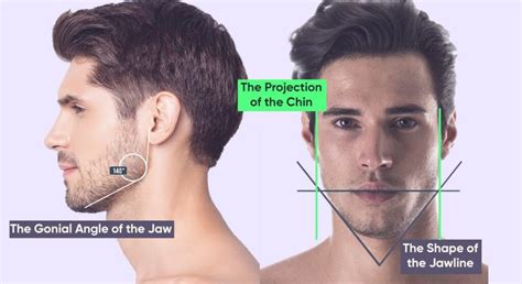 jawline exercises  tips mewingcoach