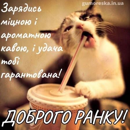 З добрим ранком кава картинки і листівки (ТОП 20)