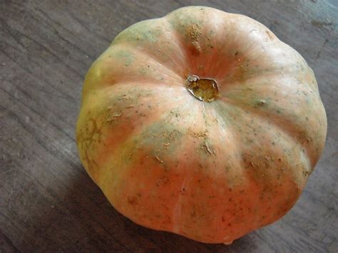 Kaddu ki Sabji (Easy Pumpkin Recipe) - Dassana’s Veg Recipes