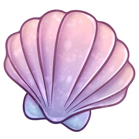 scallop shell png picture scallop  shell hand draw ocean