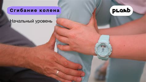 Сгибание колена. Начальный уровень. - YouTube
