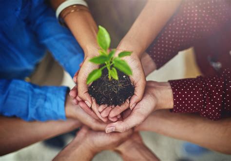 O que fazer para preservar o meio ambiente? Aprenda!