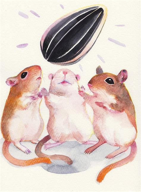 2212 best Gerbil images on Pholder | Gerbil, Lil Grabbies and ...