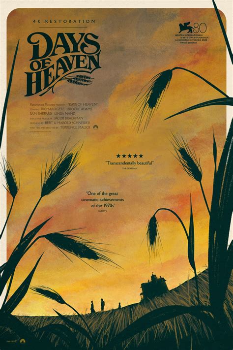 A Retrospective Look at the Cinematic Legacy of Days of Heaven 17