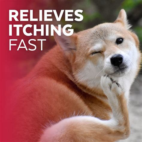 Clinical Anti-Itch Remedy for Pets - Naturel Promise