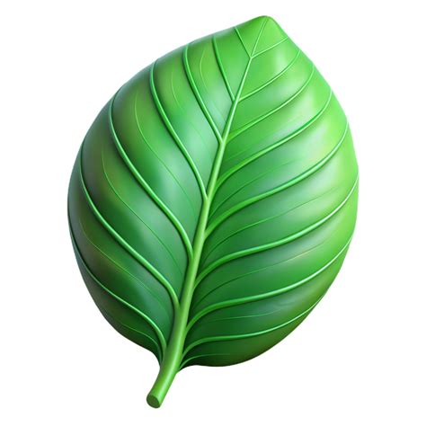 whimsical striking Veined green leaf of a hosta plant with Transparent
