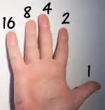 binary fingers