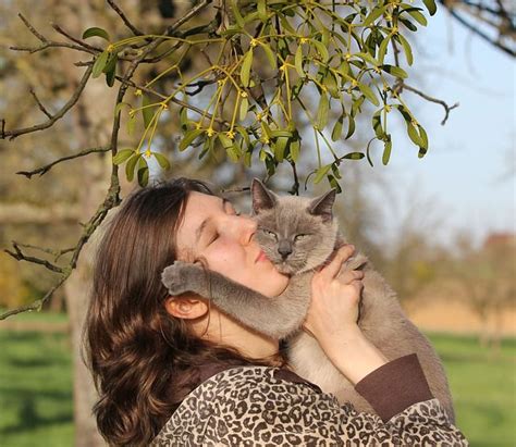 Kissing Your Cat | PetCareRx