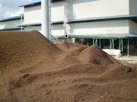 Palm Kernel Shell - Hua Sheng Trading Inc.