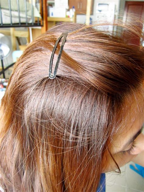 Beauty influencers debate which brand has the best reddish brown hair color 8