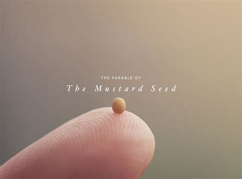 mustard seed parable quote  lori allan blog