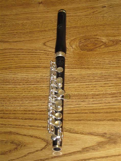 Notes From The Trill Key...: PICCOLO!!