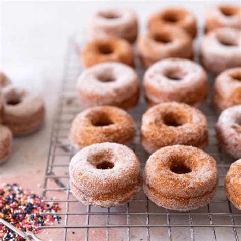 mini donuts   homemade cinnamon sugar treat recipes  lucelle