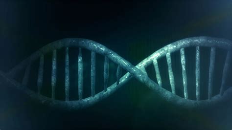 human dna  stock photo public domain pictures
