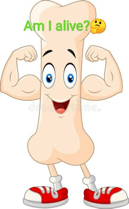 aps ch  bones  muscles