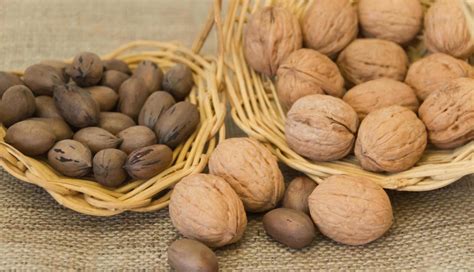 variety of healthy nuts on rustic background 14261879 Stock Photo at ...