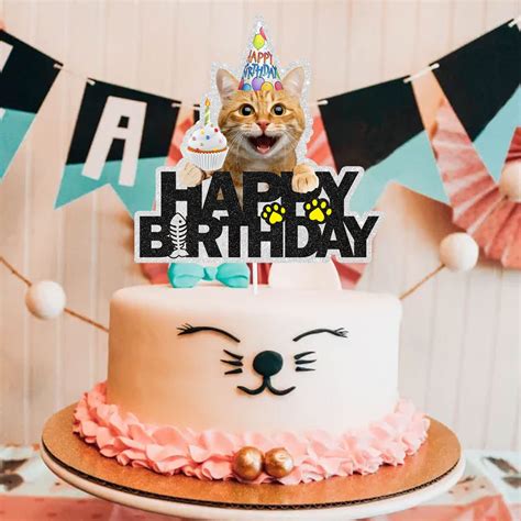 cat cake for cats 5